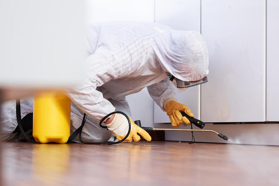 Is Hiring a Home Disinfection Service a Good Idea?
